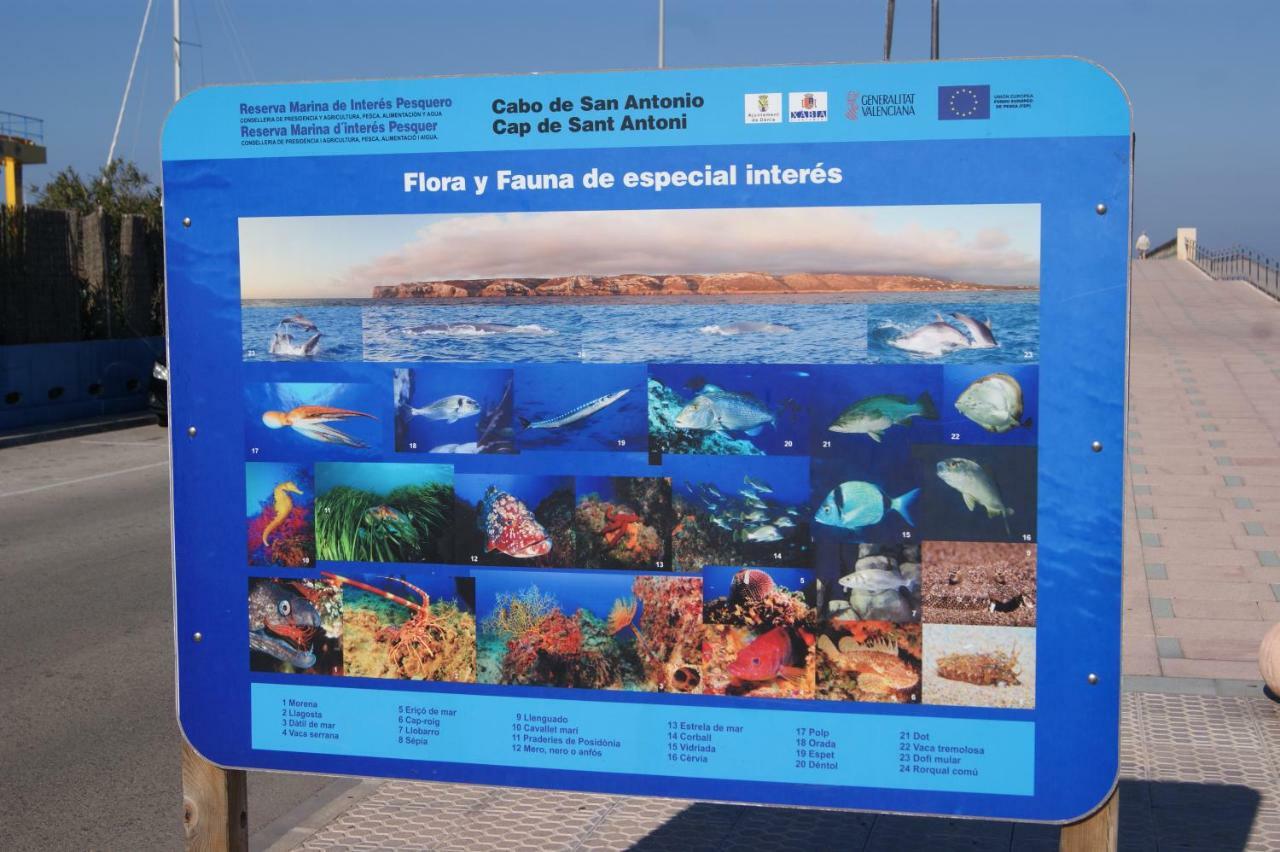 Denia Apartamento Las Marinas El Palmar المظهر الخارجي الصورة